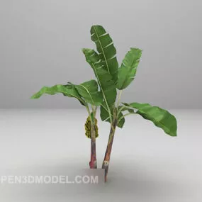 Garden Nature Banana Tree 3d model