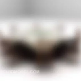 European Wooden Dining Table With Six Chairs 3d model