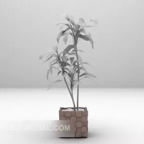 Potted Plant Tree 3d model