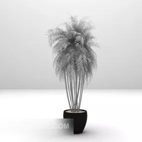 Home Plant Potted 3d model