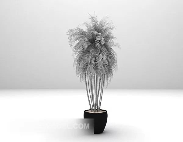 Home Plant Potted 3d model Home Plant Potted 3d model
