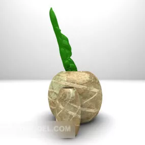 Home Potted Ornaments 3d model