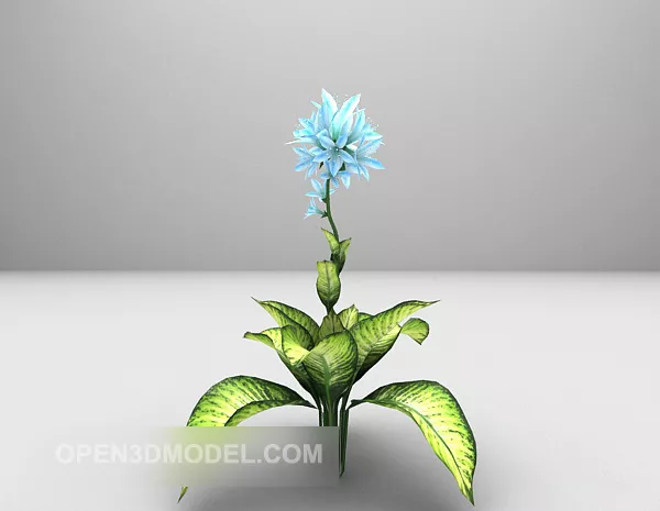 Sunflower Close Up 3d model