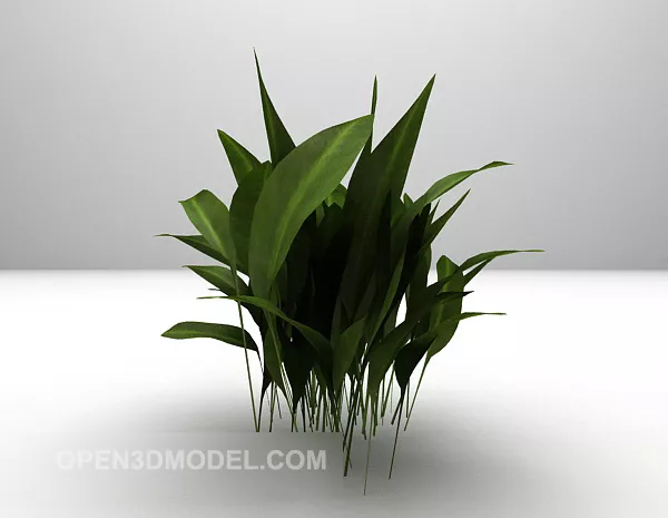 Indoor Potted Plant Big Leaf 3d model Indoor Potted Plant Big Leaf 3d model