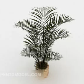 Ornamental Plants 3d model