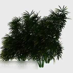 Plants In The Tropics 3d model
