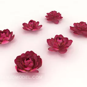 Safflower Plant Seedlings 3d model