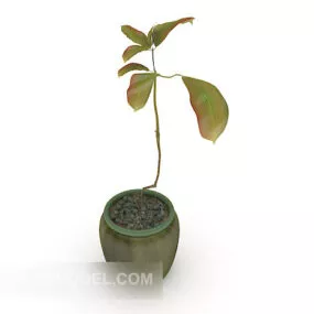 Single Plant Potted Plant 3d model