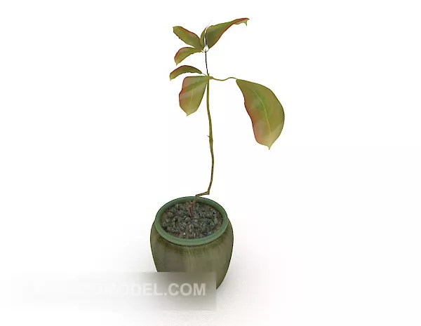 Single Plant Potted Plant 3d model Single Plant Potted Plant 3d model
