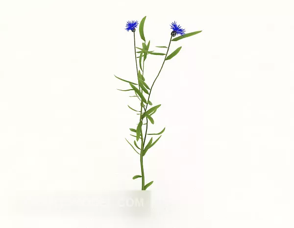 Wildflower Garden Tree 3d model Wildflower Garden Tree 3d model