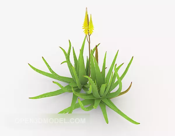 Aloe Vera Tree 3d model Aloe Vera Tree 3d model