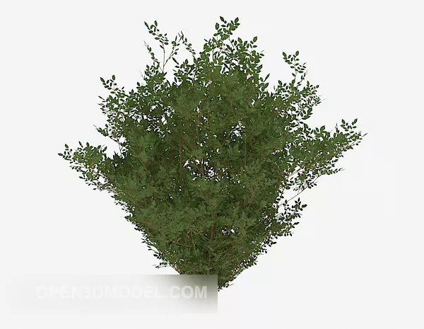 Appreciate Outdoor Plant Bush 3d model Appreciate Outdoor Plant Bush 3d model
