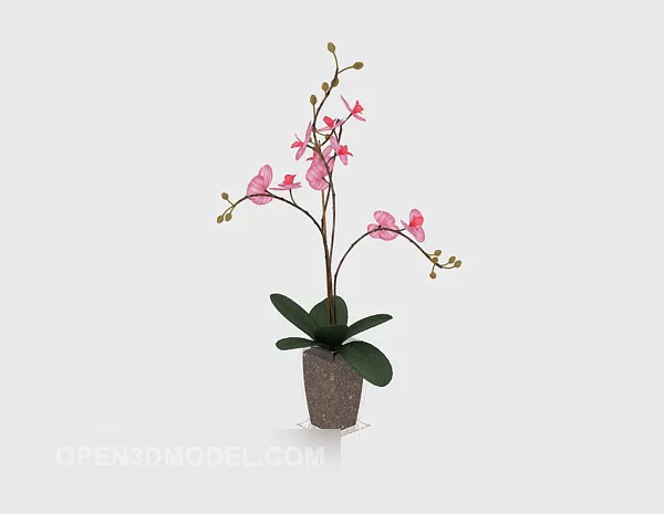 Apricot Tree Potted Flower 3d model Apricot Tree Potted Flower 3d model