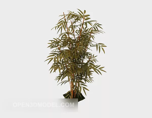 Bamboo Plant Garden 3d model Bamboo Plant Garden 3d model