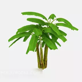 Garden Banana Tree 3d model