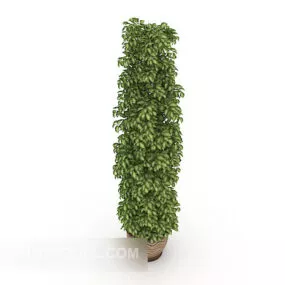 Beautiful Potted Tree 3d model