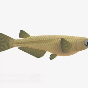 Big Eye Fish Animal 3d model
