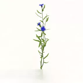 Blue Flowering Plant 3d model