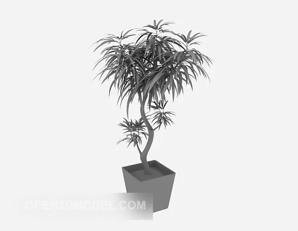 Leaf Bonsai Potted Plant 3d model
