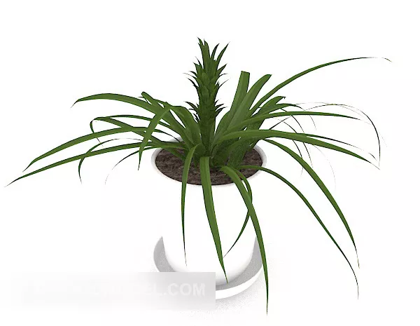 Modern Bonsai Plant 3d model Modern Bonsai Plant 3d model