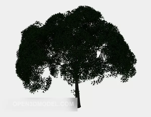 Broadleaf Tree Nature Plant 3d model Broadleaf Tree Nature Plant 3d model