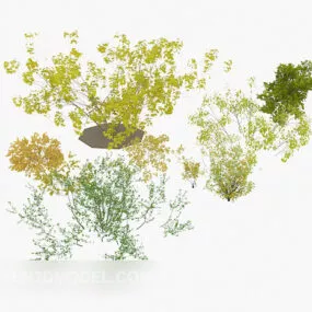 Bushes Collection 3d model