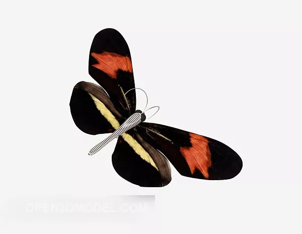 Black Butterfly 3d model Black Butterfly 3d model