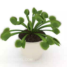 Cactus Potted 3d model