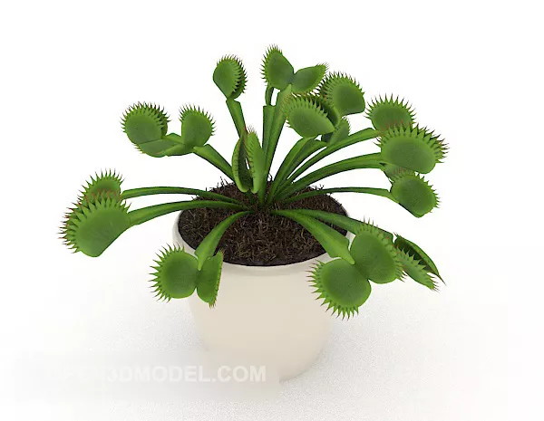 Cactus Potted 3d model Cactus Potted 3d model