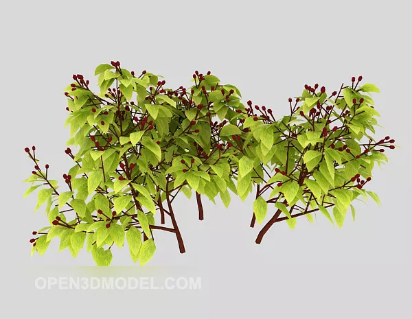 Camptree Branches 3d model Camptree Branches 3d model