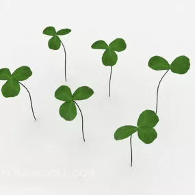 Clover Seedlings 3d model