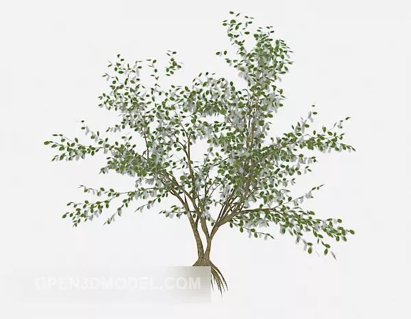 Green Outdoor Plant Small Leaf 3d model Green Outdoor Plant Small Leaf 3d model