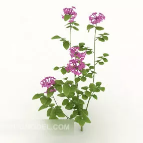 Common Green Plant 3d model