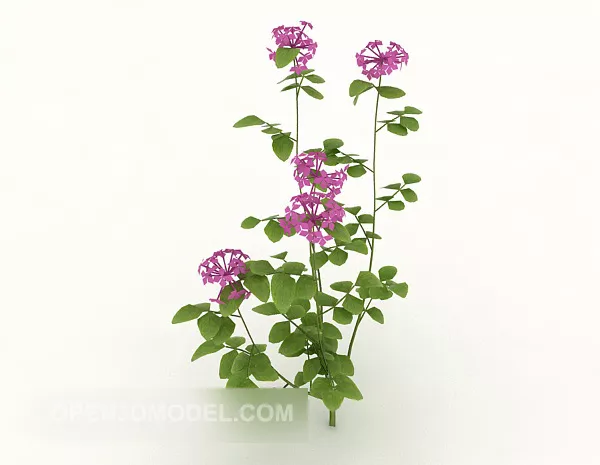 Common Green Plant 3d model Common Green Plant 3d model