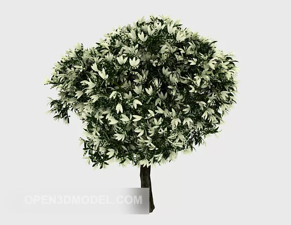 Outdoor Flowering Broad Leaf Tree 3d model Outdoor Flowering Broad Leaf Tree 3d model