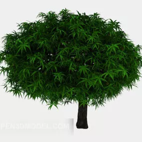 Common Outdoor Trees 3d model