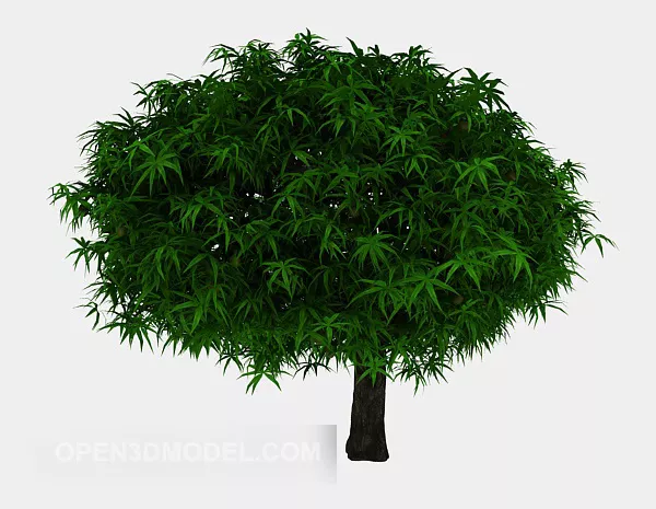Common Outdoor Trees 3d model Common Outdoor Trees 3d model