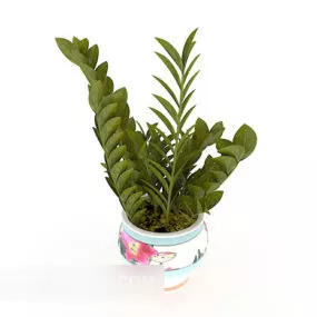 Common Leaf Tree Potted 3d model