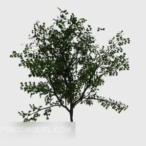 Common Green Outdoor Plant 3d model