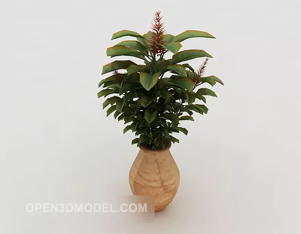 Common Indoor Potted 3d model Common Indoor Potted 3d model