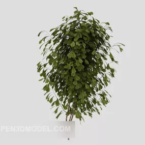 Common Outdoor Green Leaf Plant 3d model