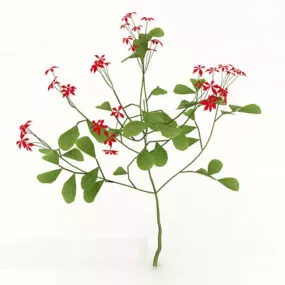 Common Outdoor Green Plant 3d model