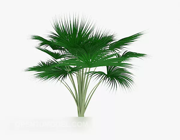 Garden Conifer Tree 3d model Garden Conifer Tree 3d model