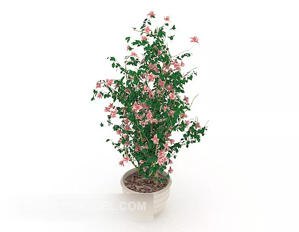 Courtyard Bonsai 3d model Courtyard Bonsai 3d model