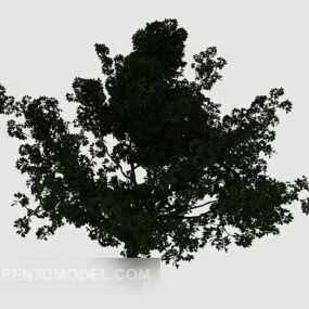 Courtyard Large Green Tree 3d model