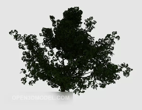 Courtyard Large Green Tree 3d model Courtyard Large Green Tree 3d model
