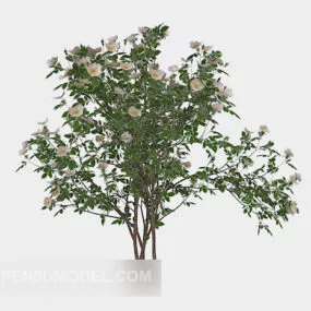 Courtyard Plant 3d model