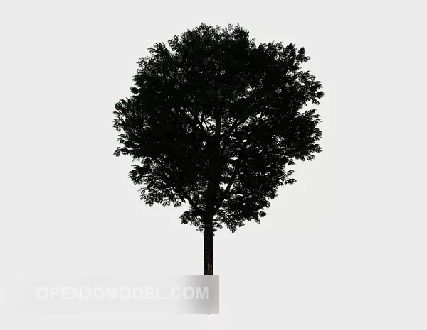Courtyard Round Tree Nature 3d model Courtyard Round Tree Nature 3d model