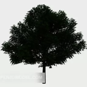 Courtyard Tree Gardent Plant 3d model