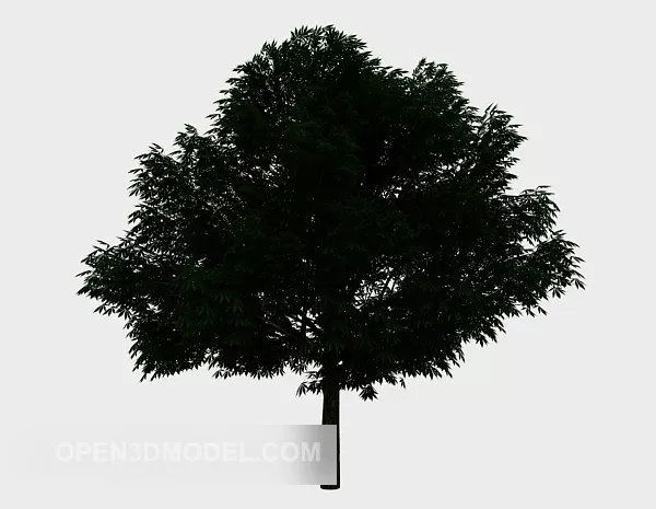 Courtyard Tree Gardent Plant 3d model Courtyard Tree Gardent Plant 3d model